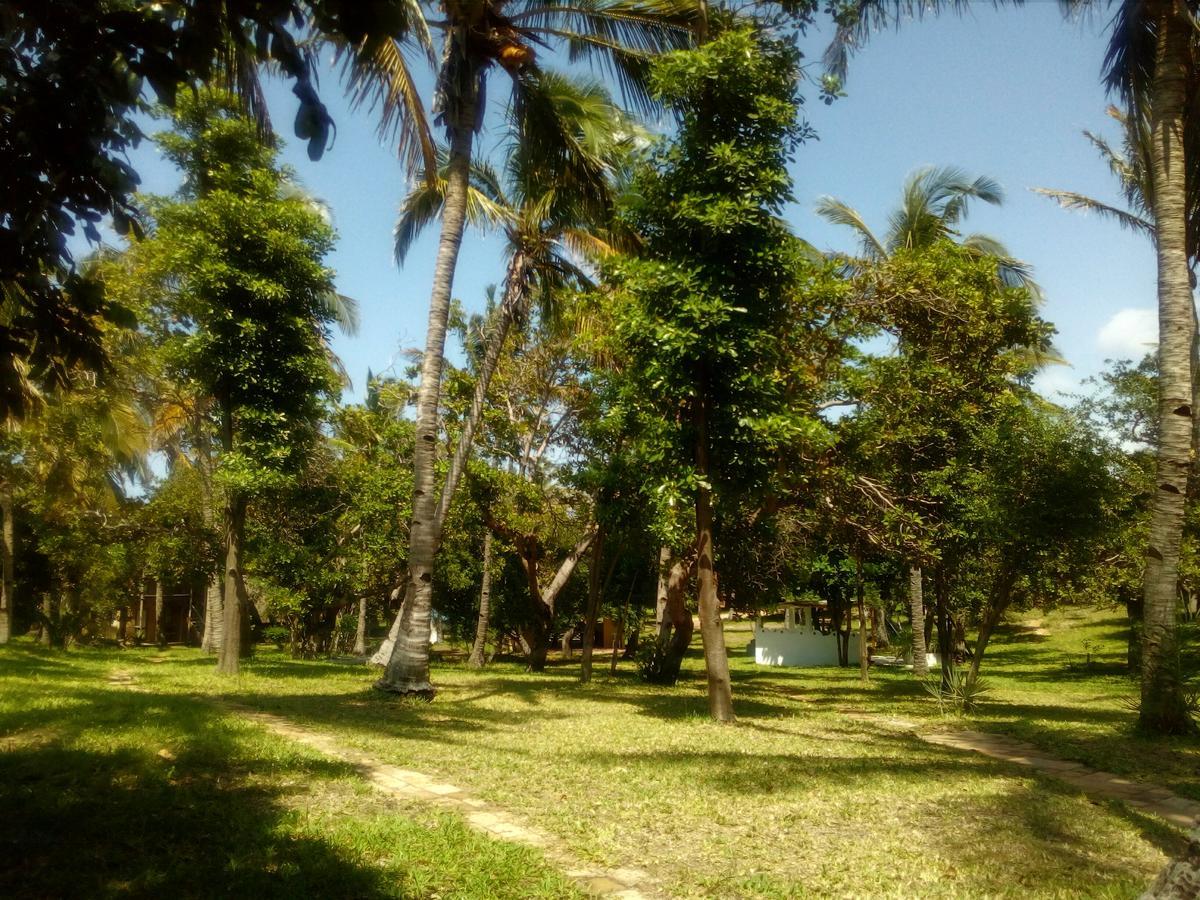 Turtle Cove Lodge And Yoga Shala Praia do Tofo Exterior foto